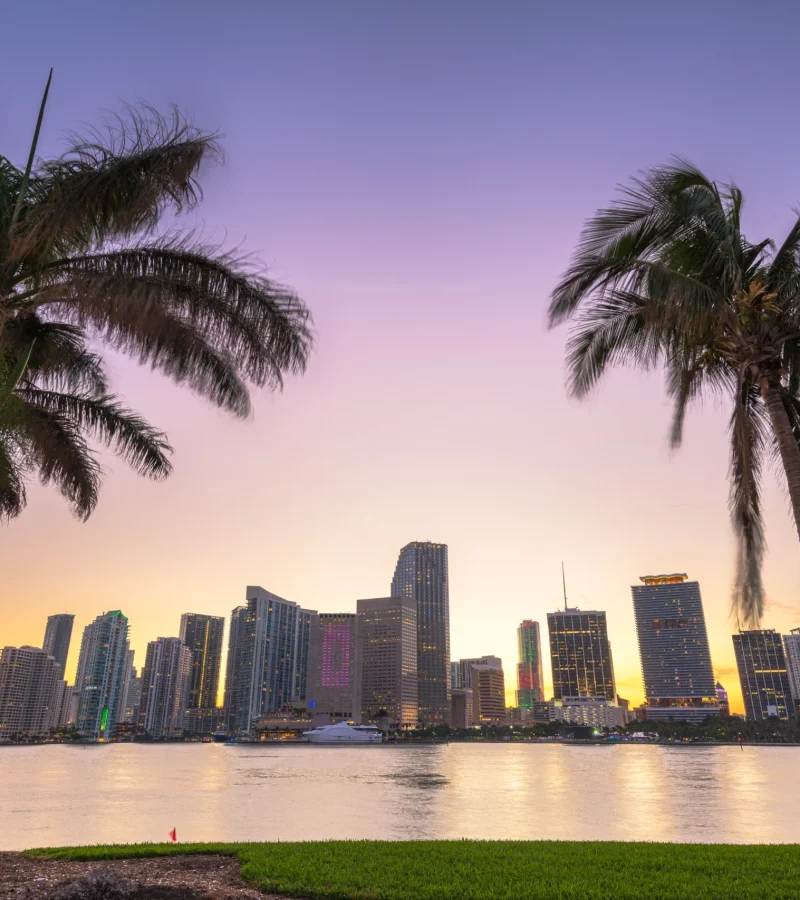 miami-skyline